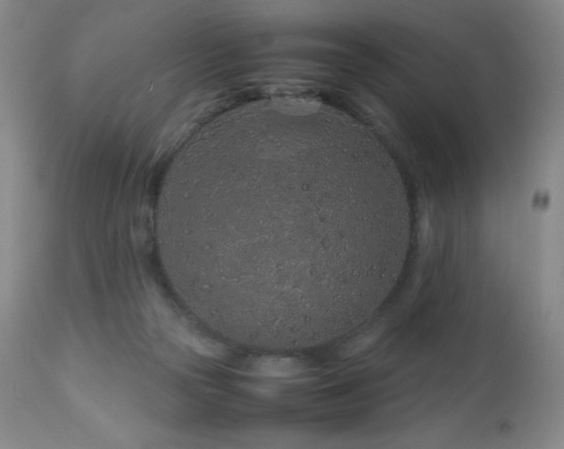 X0000113040169200908271514