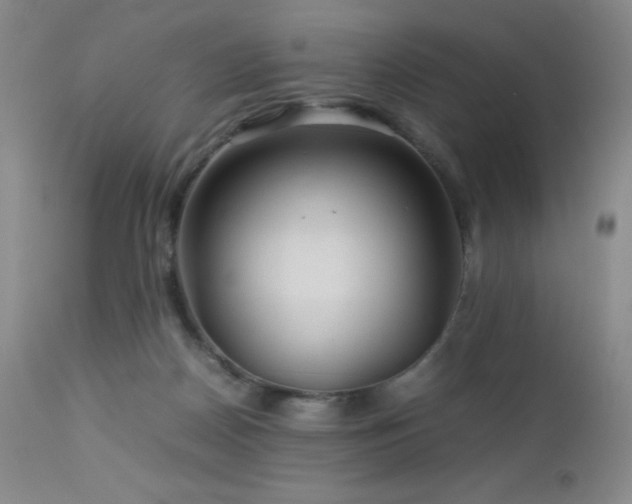 X0000113040170200908271514