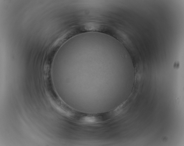 X0000113040171200908271514