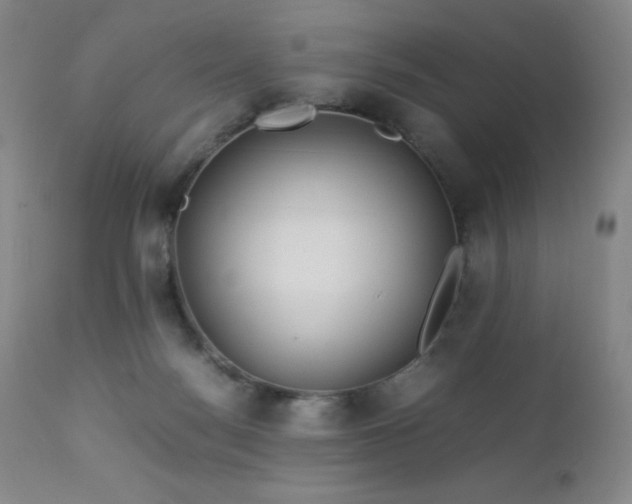 X0000113040172200908271514