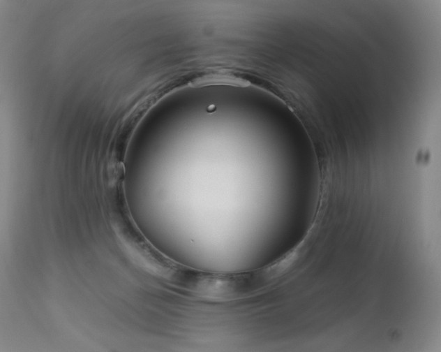 X0000113040174200908271514