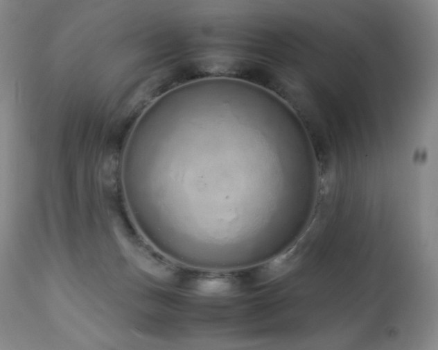 X0000113040175200908271514