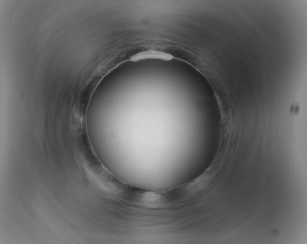 X0000113040176200908271514
