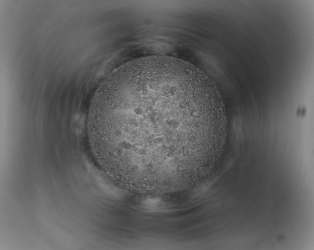 X0000113040177200908271514