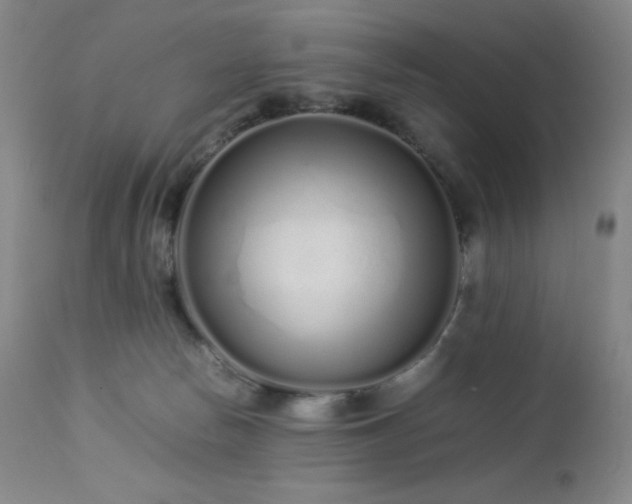 X0000113040178200908271514