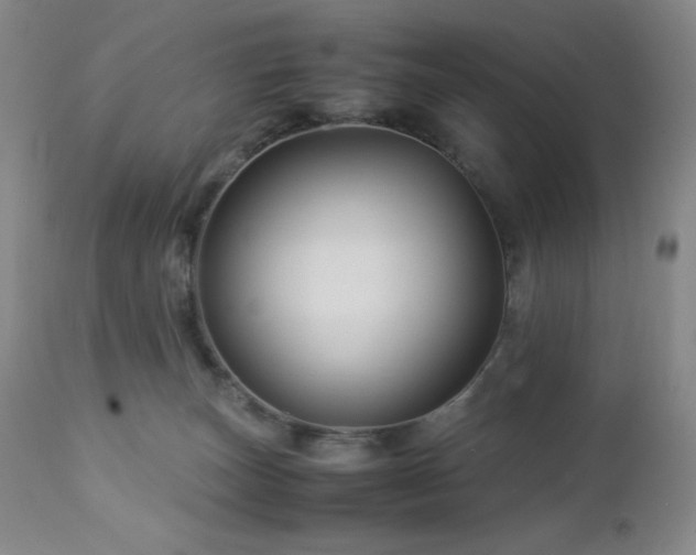 X0000113040179200908271514