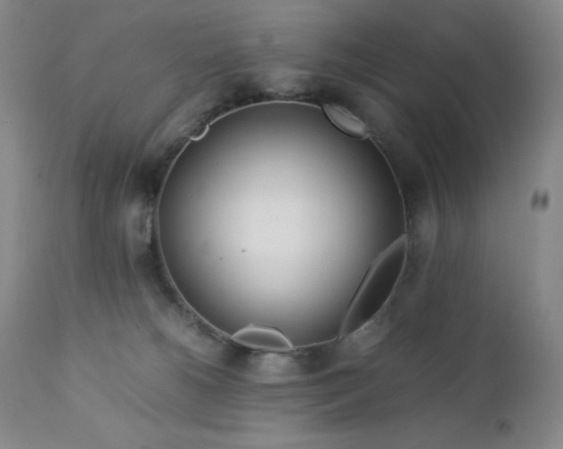 X0000113040180200908271514