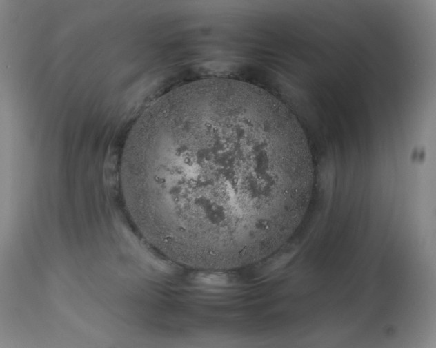 X0000113040181200908271514