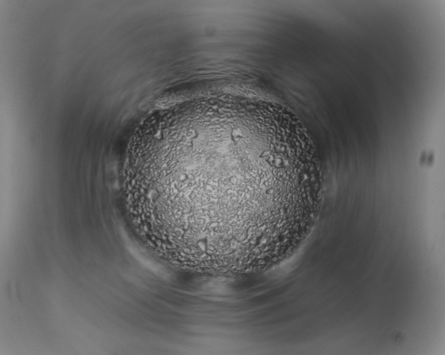 X0000113040182200908271514