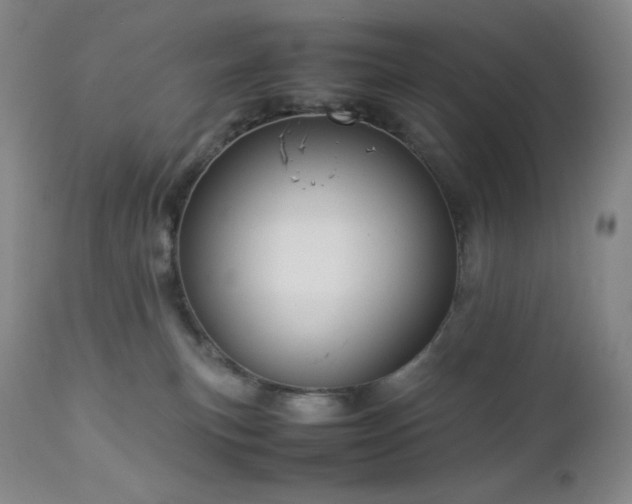 X0000113040183200908271514