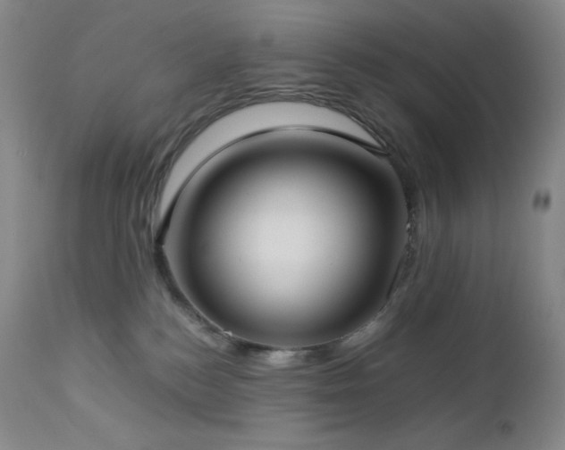 X0000113040184200908271514