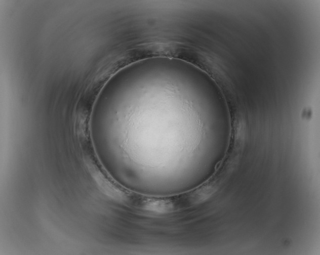 X0000113040185200908271514