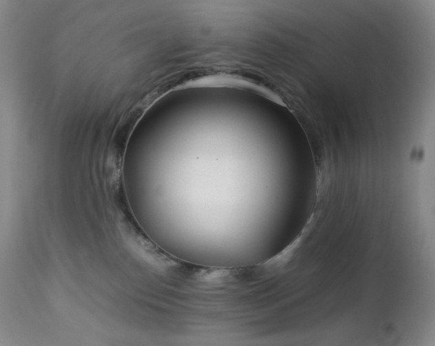 X0000113040186200908271514