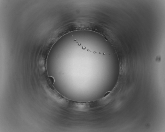 X0000113040187200908271514