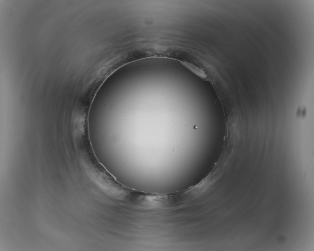 X0000113040188200908271514