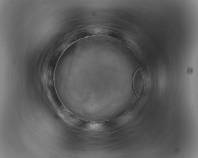X0000113040189200908271514