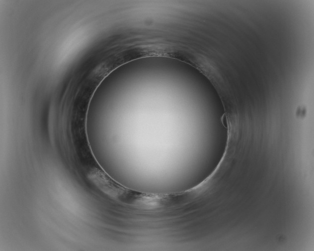 X0000113040190200908271514