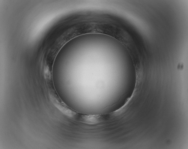 X0000113040191200908271514