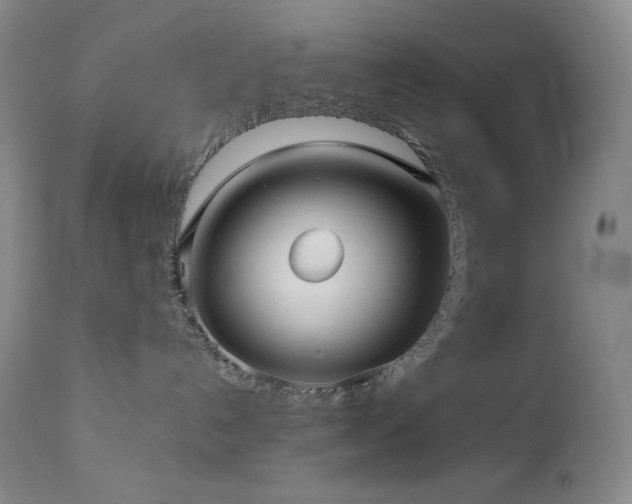 X0000113040192200908271514