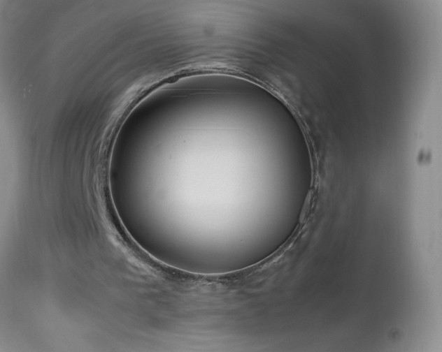 X0000113040193200908271514