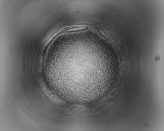 X0000113040194200908271514