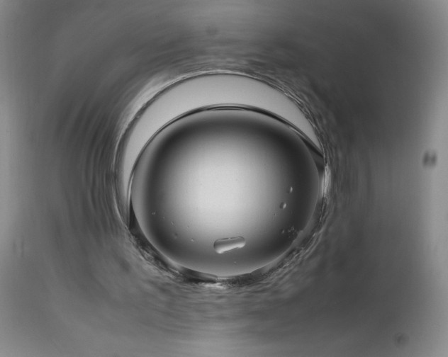 X0000113040195200908271514