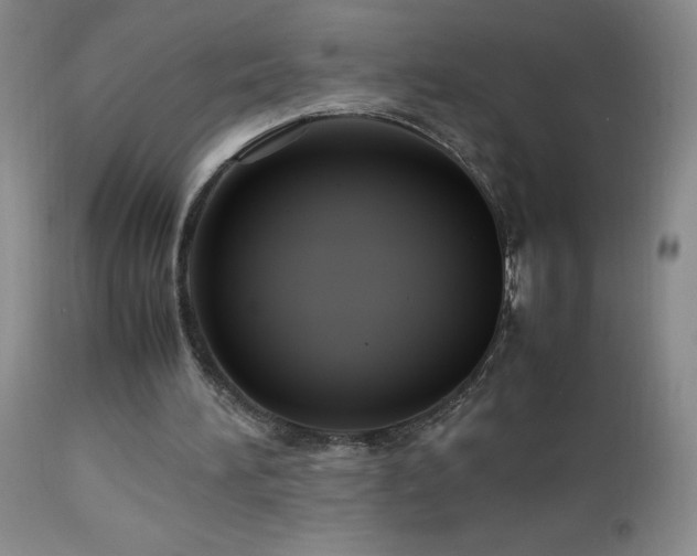 X0000113040196200908271514