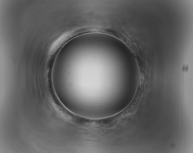 X0000113040197200908271514