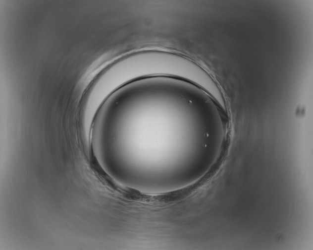 X0000113040199200908271514