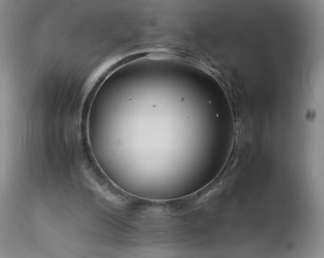 X0000113040200200908271514