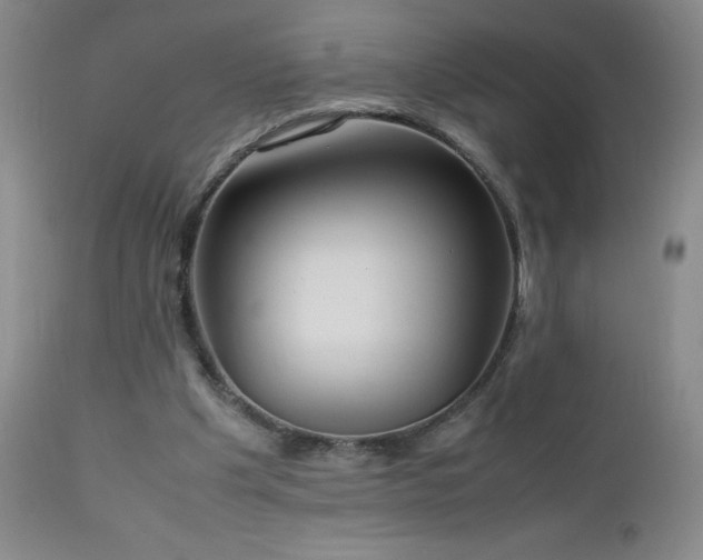 X0000113040201200908271514