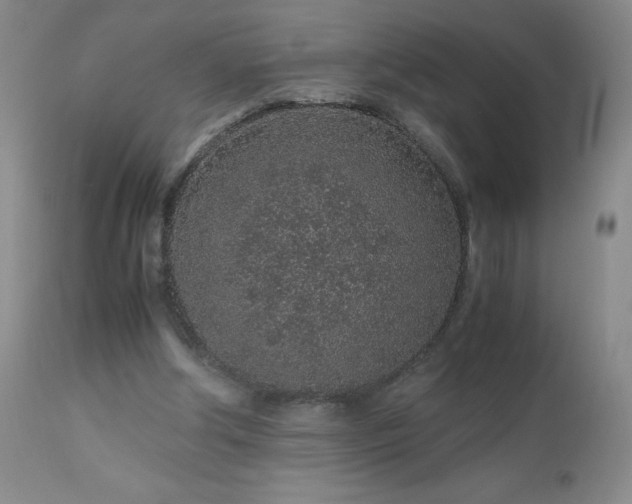 X0000113040202200908271514