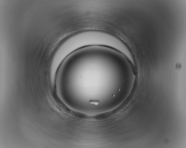 X0000113040203200908271513