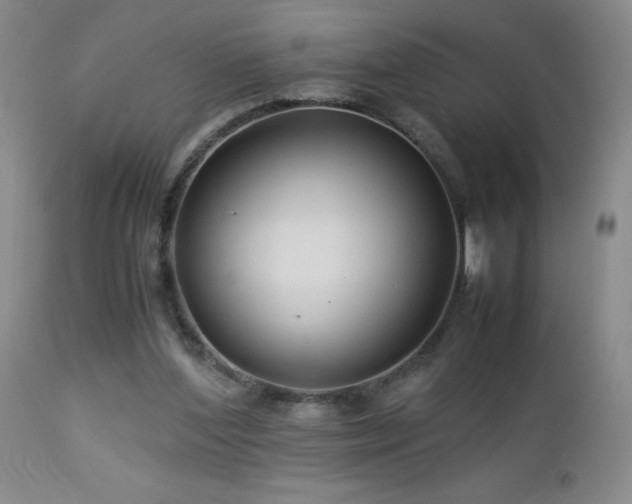 X0000113040204200908271513