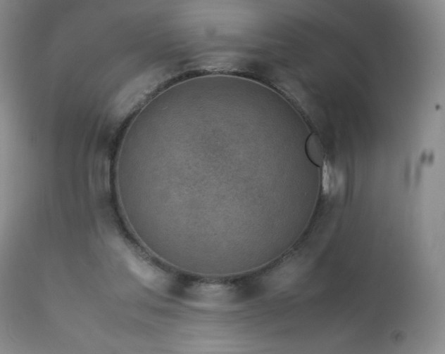 X0000113040205200908271513