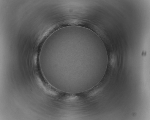 X0000113040206200908271513