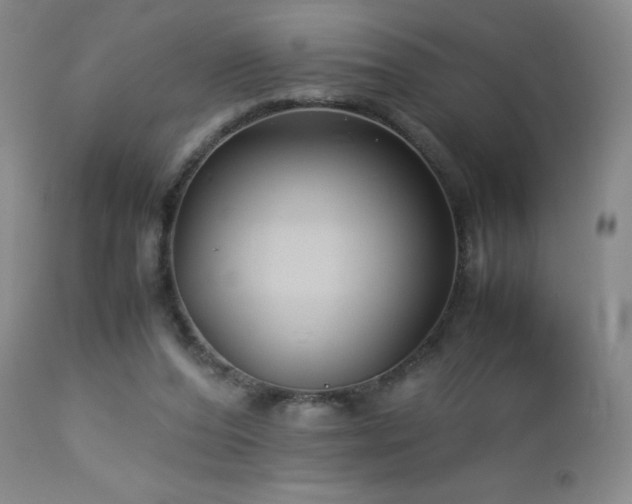 X0000113040208200908271513