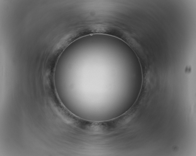 X0000113040209200908271513