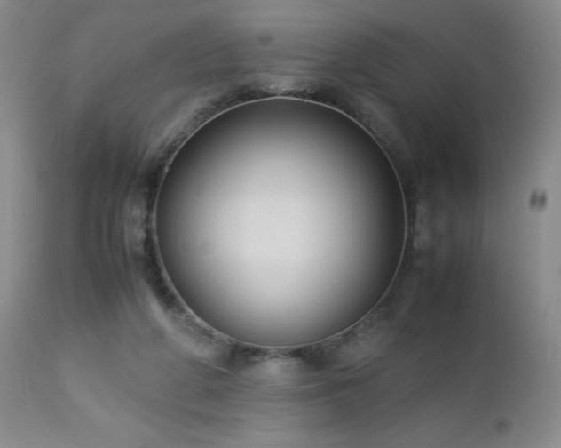 X0000113040210200908271513