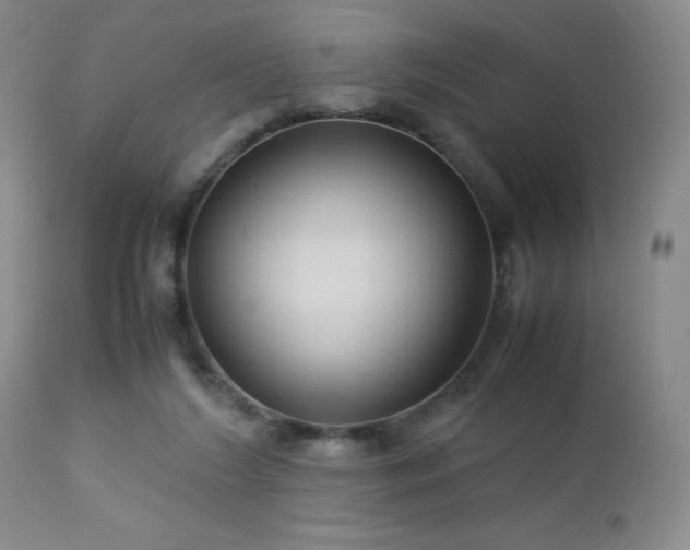 X0000113040212200908271513