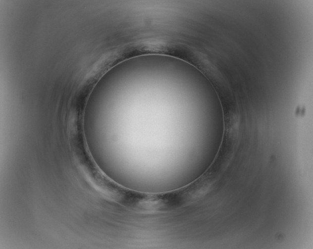 X0000113040213200908271513