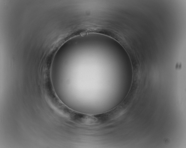 X0000113040215200908271513