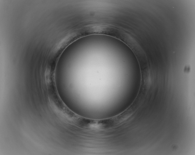 X0000113040216200908271513