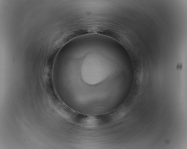 X0000113040219200908271513