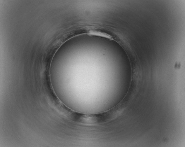 X0000113040221200908271513