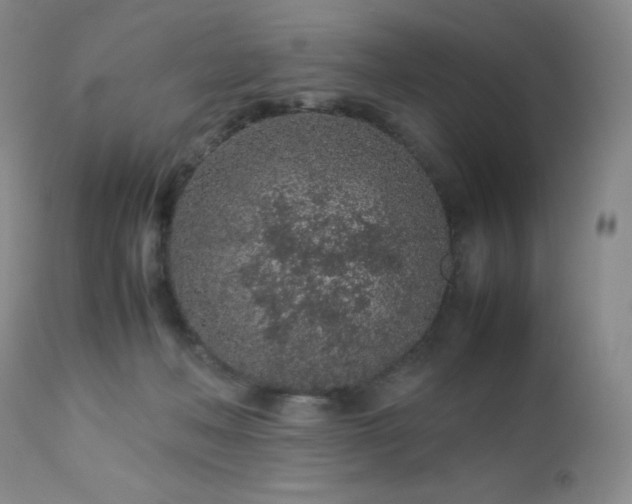 X0000113040222200908271513