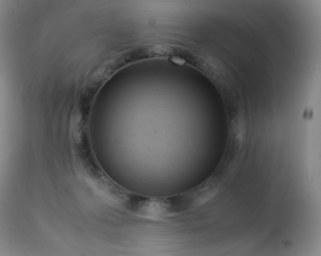 X0000113040223200908271513