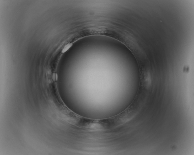 X0000113040224200908271513