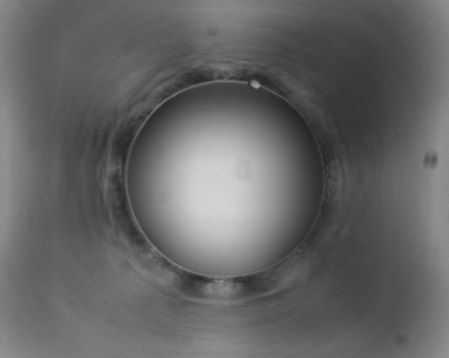 X0000113040225200908271513