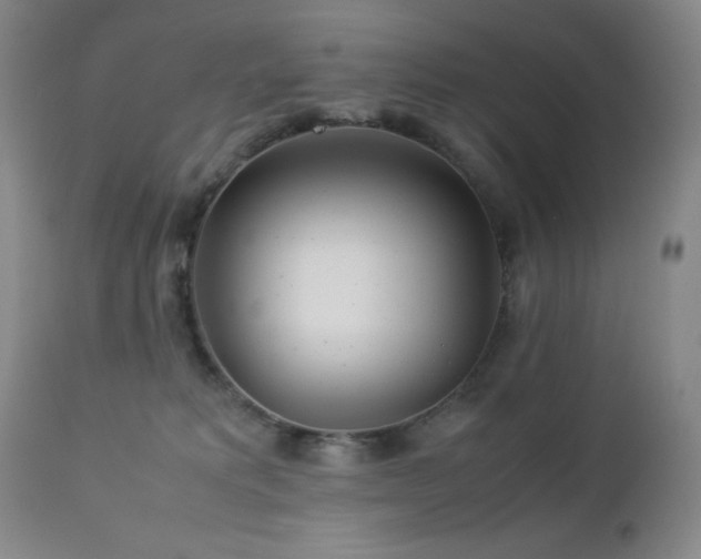 X0000113040229200908271513
